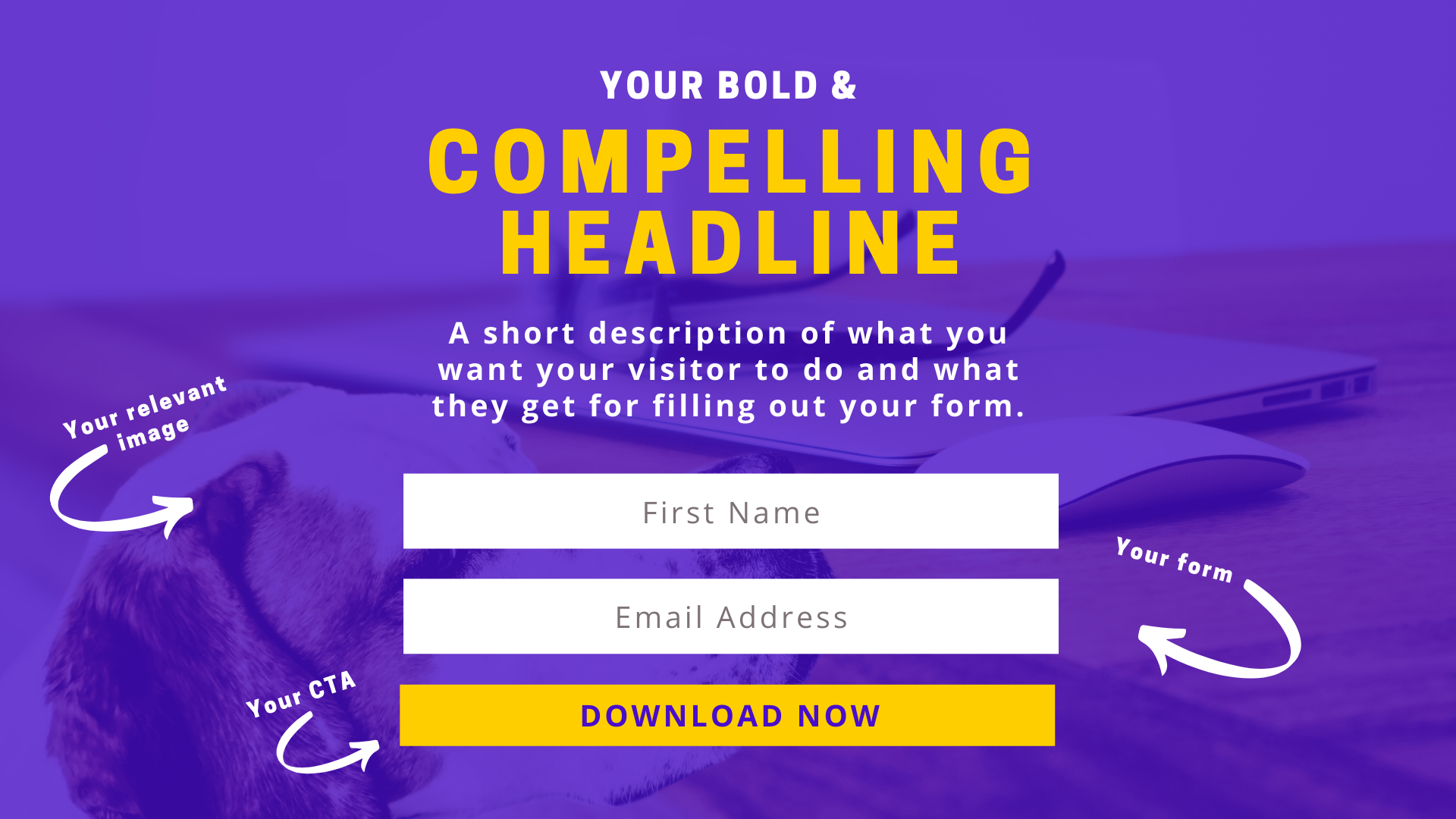 example of above the fold offer on a landing page